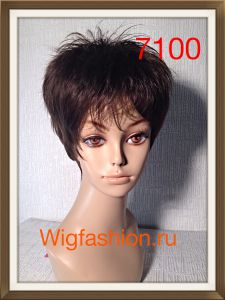 DG-7100 короткая прямая стрижка ― Wigfashion
